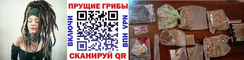 Псилоцибиновые грибы GOLDEN TEACHER  наркота  Протвино 